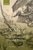 Kant and the Transformation of Natural History