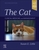 THE CAT: Clinical Medicine and Management