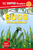 DK Super Readers Level 1 Bugs Hide and Seek: Bugs Hide and Seek