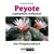 Peyote - Lophophora williamsii: Das Pflegehandbuch