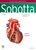 Sobotta, Atlas der Anatomie Band 2: Innere Organe