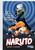 Naruto - Die Schriften des Hyo (Neuedition): Das zweite ultimative Guide Book zum Manga-Welthit Naruto!