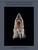 Guido Mocafico: Leopold & Rudolf Blaschka. The Marine Invertebrates: Leopold & Rudolf Blaschka: The Marine Invertebrates