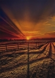 Abendstille (Puzzle): 1000 Teile. Puzzleformat: 69,3 x 49,3 cm