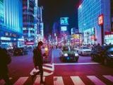 Osaka - 1.000 Teile (Puzzle)