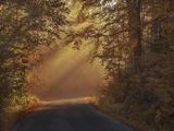 Herbst - 1.000 Teile (Puzzle)