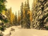 Winterlandschaft - 500 Teile (Puzzle)