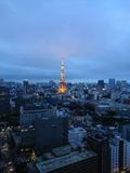 Tokio - 1.000 Teile (Puzzle)