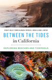 Between the Tides in California: Exploring Beaches and Tidepools