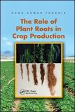 The Role of Plant Roots in Crop Production