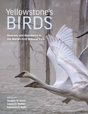 Yellowstone?s Birds: Diversity and Abundance in the World?s First National Park