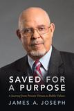 Saved for a Purpose ? A Journey from Private Virtues to Public Values: A Journey from Private Virtues to Public Values