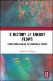 A History of Energy Flows: From Human Labor to Renewable Power