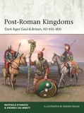 Post-Roman Kingdoms: ?Dark Ages' Gaul & Britain, AD 450?800