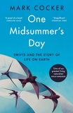 One Midsummer's Day: Swifts and the Story of Life on Earth