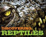 Discovering Reptiles Handbook