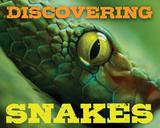 Discovering Snakes Handbook