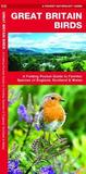 Great Britain Birds: A Folding Pocket Guide to Familiar Species of England, Scotland & Wales