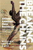 Breaking The Chains: African-American Slave Resistance