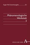 Phänomenologische Werkstatt: Teilband 3: Letzte phänomenologische Darstellung: die 