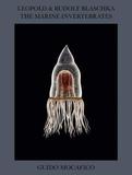 Guido Mocafico: Leopold & Rudolf Blaschka. The Marine Invertebrates: Leopold & Rudolf Blaschka: The Marine Invertebrates