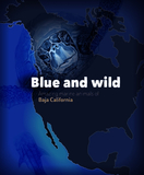 Blue and Wild: Amazing Marine Animals of Baja California