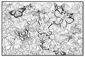 Jumbo Colour-In Poster - Butterflies Jumbo Colour-In Poster - Butterflies