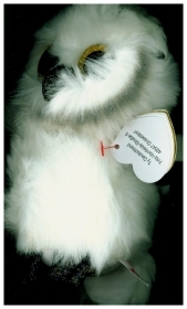 TY Beanie Boo regular 15 cm Austin white Owl TY Beanie Boo regular 15 cm Austin white Owl