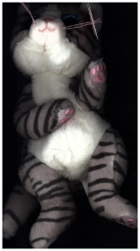 Mitzi Tabby Cat 17cm, Material: 100% Polyester geprüft nach EN-71. Farbe: mehrfarbig Mitzi Tabby Cat 17cm, Material: 100% Polyester geprüft nach EN-71. Farbe: mehrfarbig
