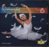 Schwanensee, 1 Audio-CD Schwanensee, 1 Audio-CD
