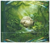 SZNZ: Spring, 1 Audio-CD SZNZ: Spring, 1 Audio-CD