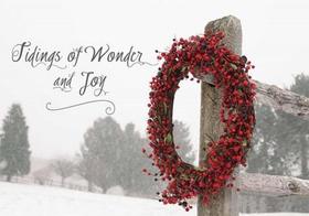 Tidings of Wonder and Joy Christmas Cards Tidings of Wonder and Joy Christmas Cards