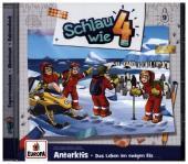 Schlau wie Vier - Antarktis. Das Leben im ewigen Eis, 1 Audio-CD Schlau wie Vier - Antarktis. Das Leben im ewigen Eis, 1 Audio-CD