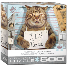 Feline Felon Feline Felon