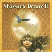 Shamanic Dream. Vol.2, 1 Audio-CD Shamanic Dream. Vol.2, 1 Audio-CD