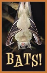 Bats!: 25-Pack Tracts Bats!: 25-Pack Tracts