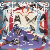 Myriad Path, 1 Audio-CD Myriad Path, 1 Audio-CD