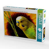 CALVENDO Puzzle Naturwellensittich 1000 Teile Lege-Größe 64 x 48 cm Foto-Puzzle Bild von Björn Bergmann: Ein Motiv aus dem Nr. 1 Bestsellerkalender: 