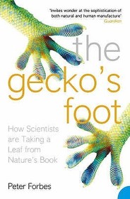 The Gecko's Foot: How Scientists are Taking a Leaf from Nature's Book The Gecko's Foot: How Scientists are Taking a Leaf from Nature's Book
