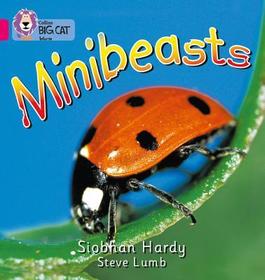Collins Big Cat — MINIBEASTS: Band 01A/Pink A: Band 01a/Pink a