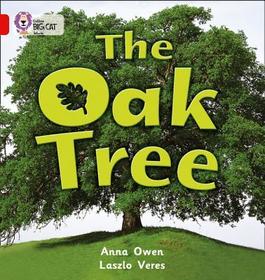 Collins Big Cat — THE OAK TREE: Band 02B/Red B: Red B/Band 2b