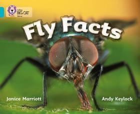 Collins Big Cat — FLY FACTS: Band 07/Turquoise: Band 07/Turquoise