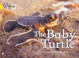 Collins Big Cat — THE BABY TURTLE: Band 03/Yellow: Band 03/Yellow