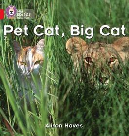 Collins Big Cat Phonics — PET CAT, BIG CAT: Band 02A/Red A: Red / Band 2a