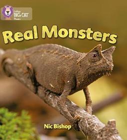 Collins Big Cat Phonics — REAL MONSTERS: Band 03/Yellow: Yellow / Band 3