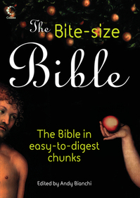 THE BITE-SIZE BIBLE: The story of the bible in easy-to-digest chunks: The story of the bible in easy-to-digest chunks