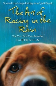 THE ART OF RACING IN THE RAIN: A Novel