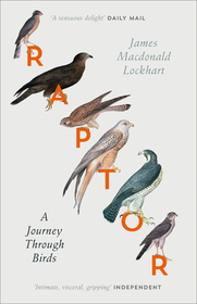 RAPTOR: A Journey Through Birds: A Journey Through Birds. Winner of The Royal Society of Literature Jerwood Award for Non-Fiction in 2011 and Roger Deakin Award in 2011