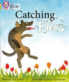 Catching Flies: Band 09/Gold