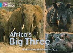 Africa's Big Three Workbook